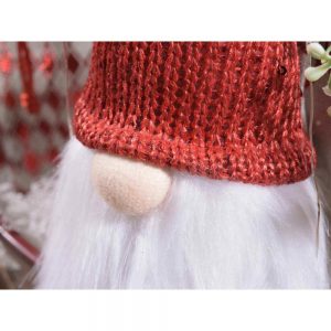 Scuoleria.it - Gnomo con barba lunga