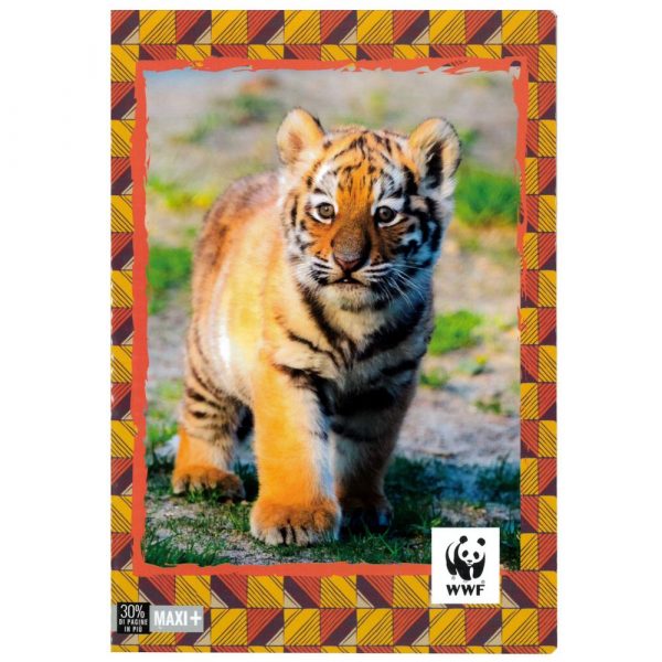 MaxiA4WWF22
