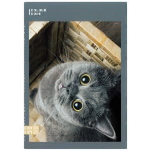 MaxiA4ColorCodeAnimal