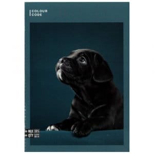 MaxiA4ColorCodeAnimal