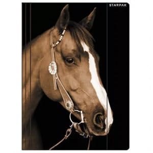 Cartella 3 lembi con elastico Cavallo