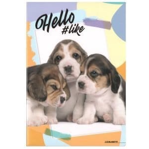 Quaderno scuola A4 100gr HELLO PETS