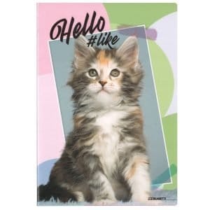 Quaderno scuola A4 100gr HELLO PETS