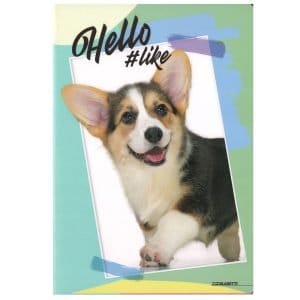 Quaderno scuola A4 100gr HELLO PETS