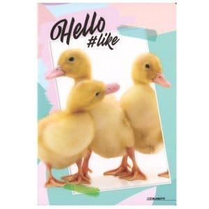 Quaderno scuola A4 100gr HELLO PETS