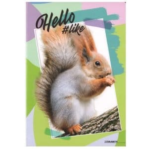 Quaderno scuola A4 100gr HELLO PETS