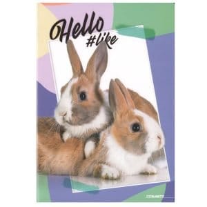 Quaderno scuola A4 100gr HELLO PETS