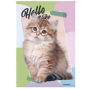 Quaderno scuola A4 100gr HELLO PETS