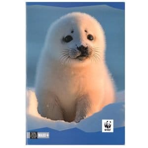 Quaderno scuola A4 100gr WWF FOTOGRAFICO