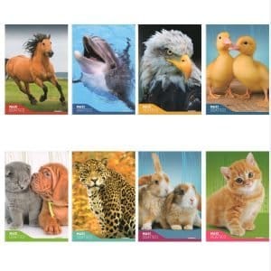 Quaderno didattico Fantasia