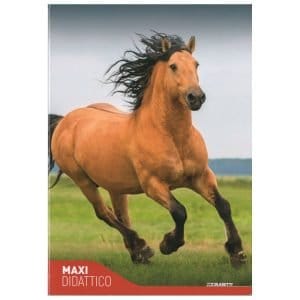 Quaderno didattico Fantasia