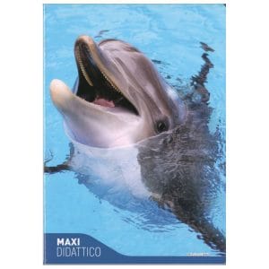 Quaderno didattico Fantasia