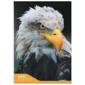 Quaderno didattico Fantasia