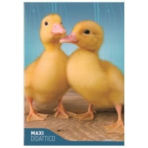 Quaderno didattico Fantasia