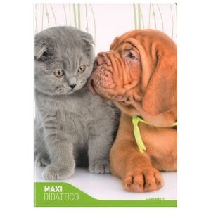 Quaderno didattico Fantasia