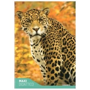 Quaderno didattico Fantasia