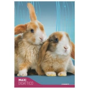 Quaderno didattico Fantasia