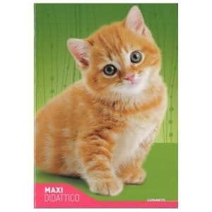 Quaderno didattico Fantasia